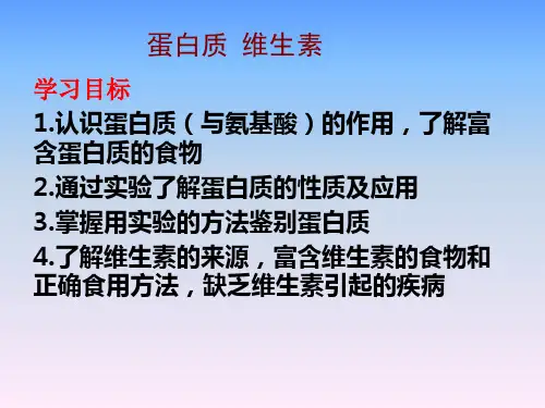 沪教版初中化学九下 8.3  蛋白质  维生素  课件  (2)