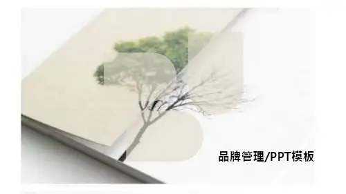 品牌管理PPT模板