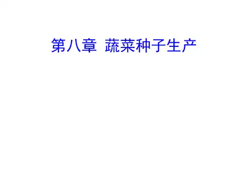 蔬菜种子生产
