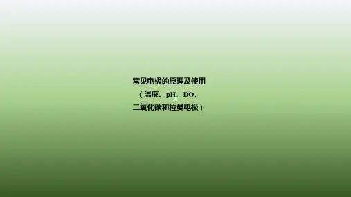 常用反应器电极简单介绍