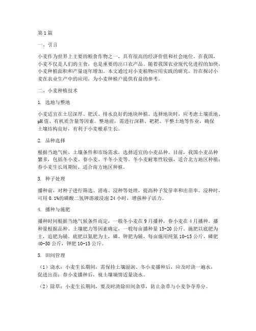 小麦植物应用实践报告(2篇)