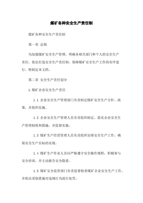 煤矿各种安全生产责任制