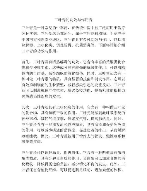 三叶青的功效与作用青