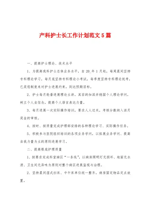 产科护士长工作计划范文5篇