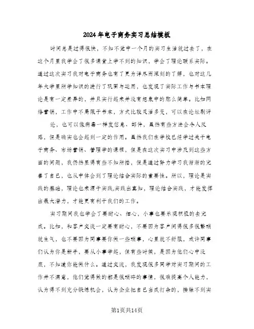 2024年电子商务实习总结模板(五篇)