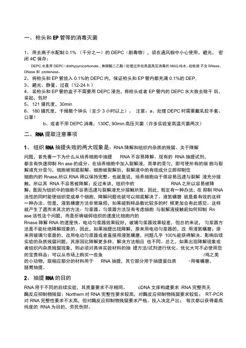 RNA提取准备工作及注意事项