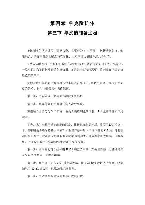4.3 杂交瘤细胞的制备和筛选