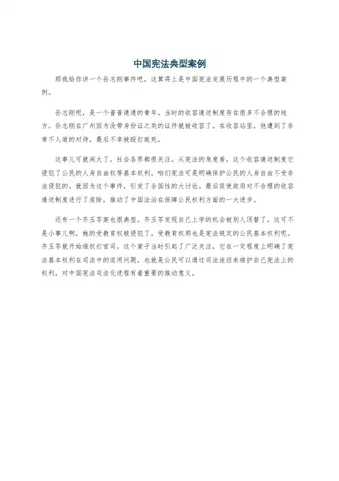 中国宪法典型案例