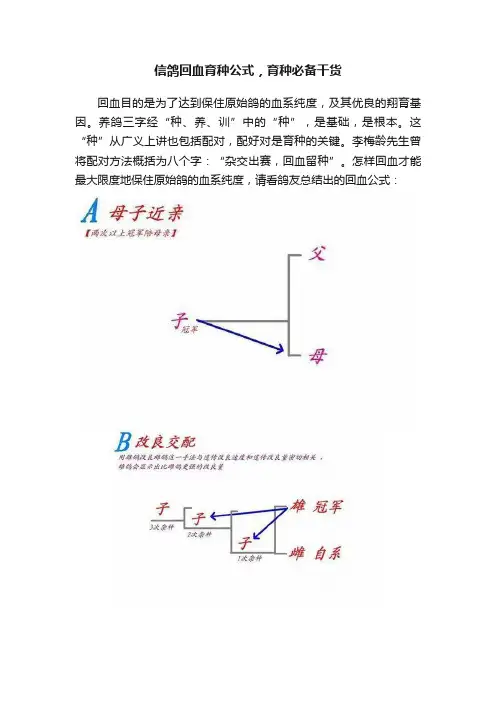 信鸽回血育种公式，育种必备干货