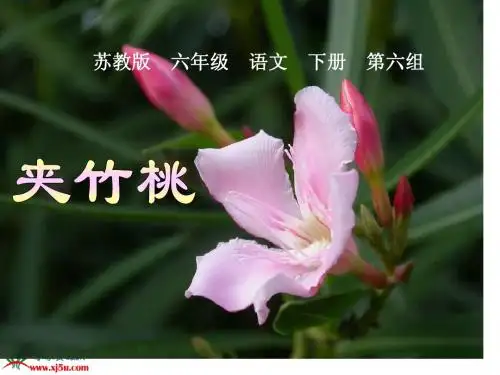 《夹竹桃》PPT课件