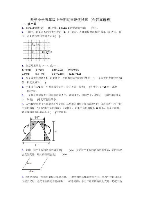数学小学五年级上学期期末培优试题(含答案解析)