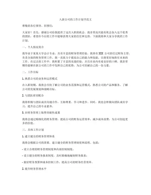 入新公司的工作计划书范文