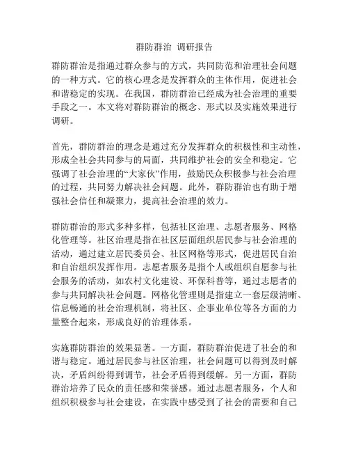 群防群治  调研报告