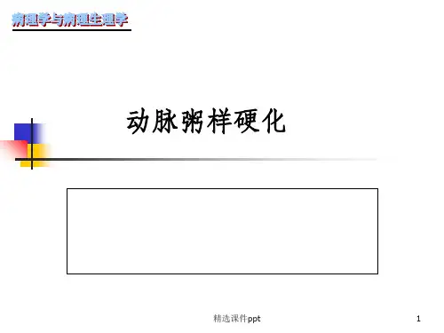 《动脉粥样硬化》PPT课件