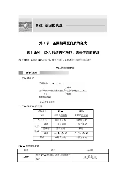 2024年高中生物新教材同步必修第二册 第4章 第1节 第1课时 RNA的结构和功能、遗传信息的转录