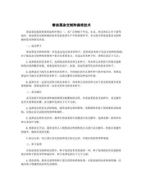 春油菜杂交制种栽培技术
