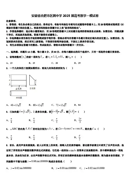 安徽省合肥市区属中学2025届高考数学一模试卷含解析