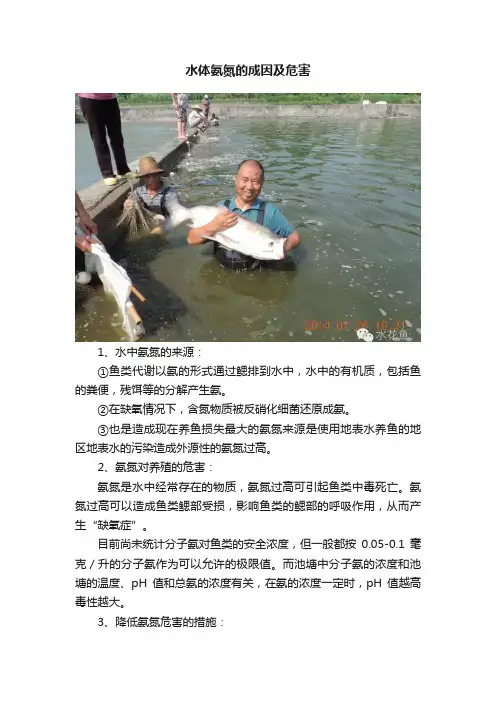 水体氨氮的成因及危害