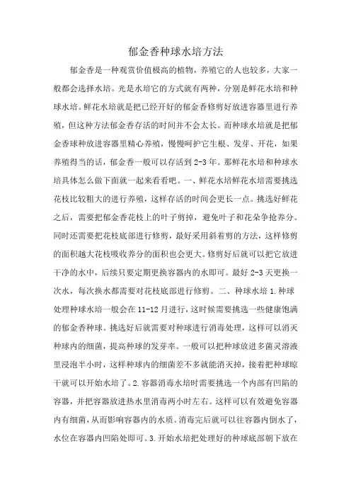 郁金香种球水培方法