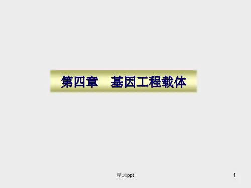 《分子生物学载体》PPT课件