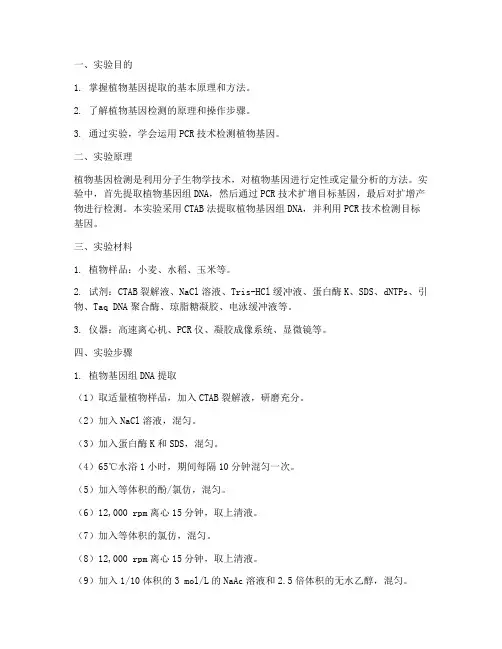 植物基因检测实验报告