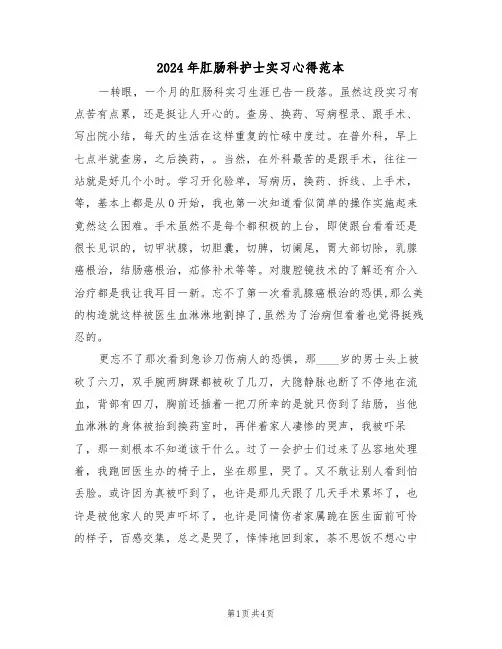 2024年肛肠科护士实习心得范本(2篇)