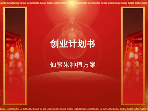 火龙果创业计划书