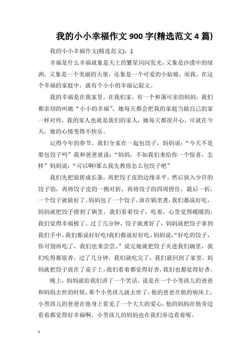 我的小小幸福作文900字(精选范文4篇)