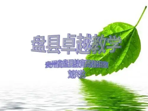 盘县卓越教学