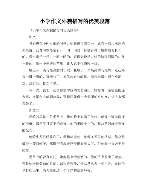小学作文外貌描写的优美段落
