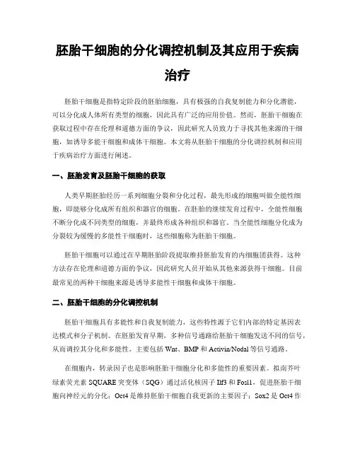 胚胎干细胞的分化调控机制及其应用于疾病治疗