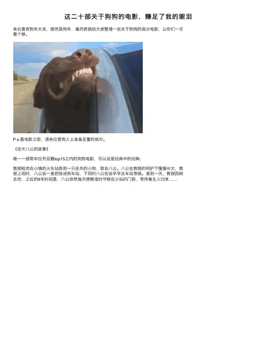 这二十部关于狗狗的电影，赚足了我的眼泪