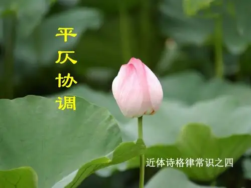 诗词格律之平仄常识 (2)PPT学习课件