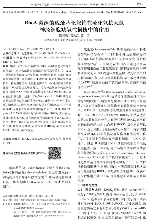 RhoA激酶的硫巯基化修饰在硫化氢抗大鼠神经细胞缺氧性损伤中的作用