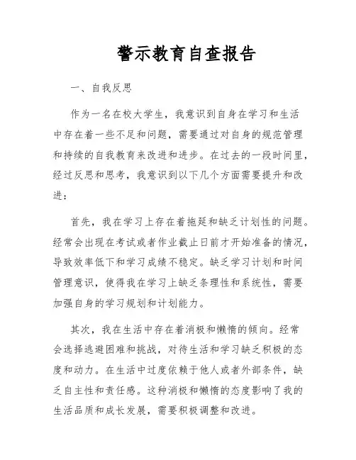 警示教育自查报告