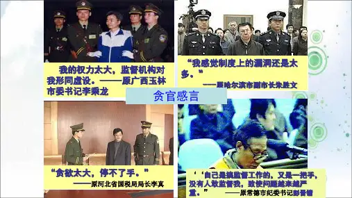 2019-2020版高中政治必修二4.2权力的行使需要监督 (共27张PPT)