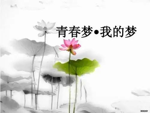 青春梦我的梦 班会ppt