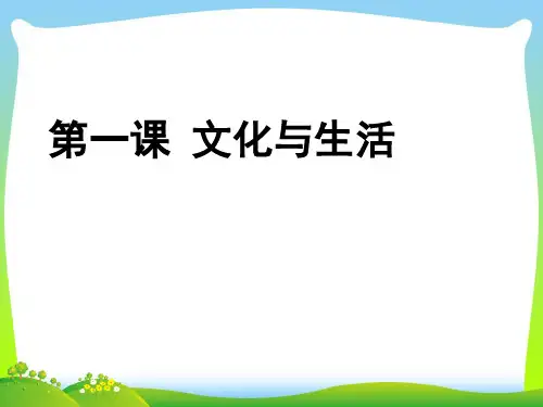 文化与生活复习-课件