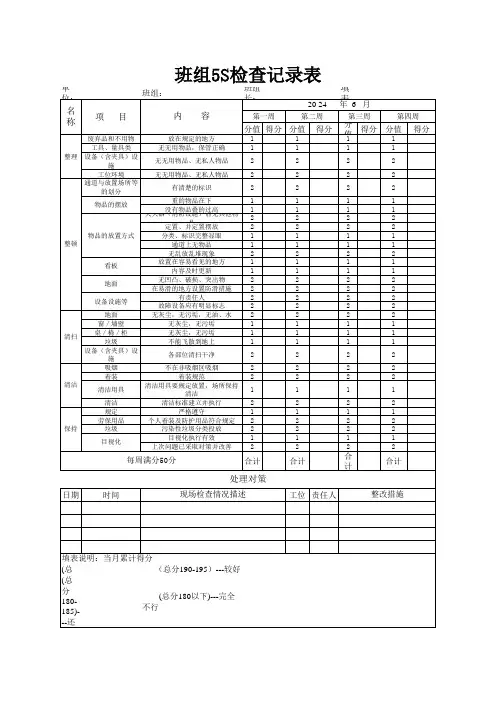 班组5S检查表