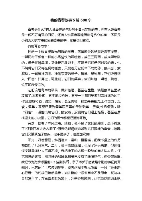 我的青春故事5篇600字
