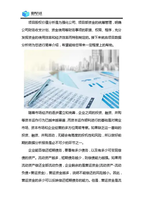 项目股权价值分析及偿债能力综合论证报告