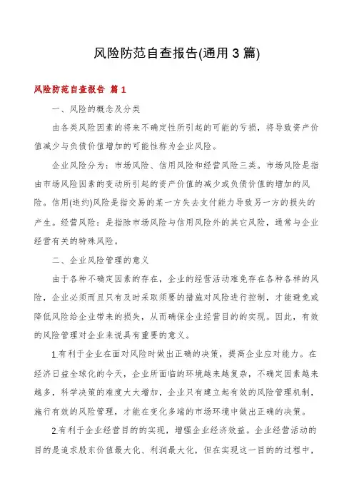 风险防范自查报告(通用3篇)