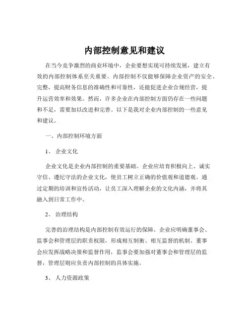 内部控制意见和建议