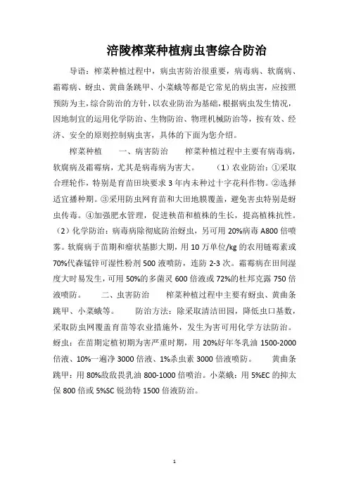 涪陵榨菜种植病虫害综合防治