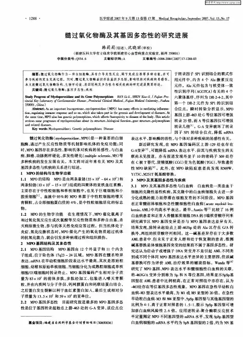 髓过氧化物酶及其基因多态性的研究进展