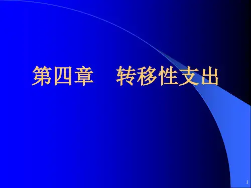财政学第四章转移性支出PPT课件