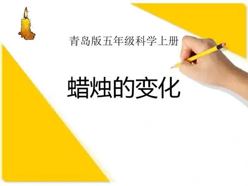 《蜡烛的变化》PPT课件 (共7张PPT)