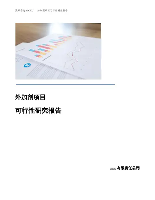 外加剂项目可行性研究报告
