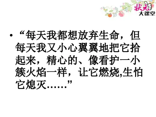 19生命生命1精品PPT课件