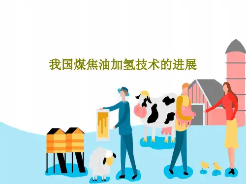 我国煤焦油加氢技术的进展共30页